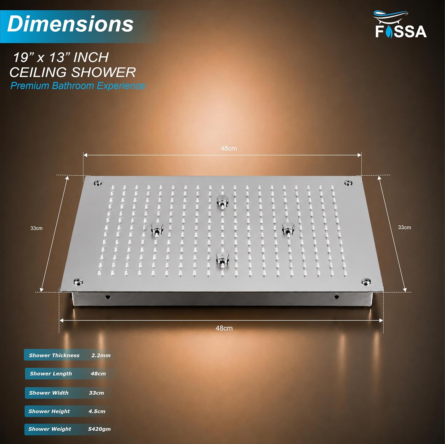 304 Stainless Steel Ceiling Overhead Shower (19 x 13 Inch)