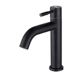 Matte finis black kitchen faucet
