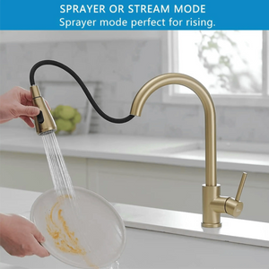 Dual-Flow Pull-Out 360° Hot & Cold Kitchen Mixer Faucet Gold Light Weight - Fossa Home