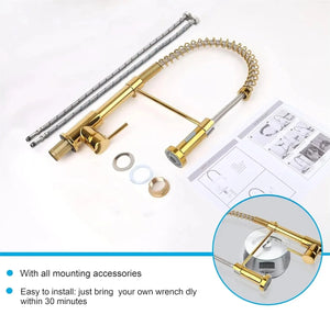 Spring Kitchen Sink Mixer Tap with Pull-Down Sprayer 360° Swivel Hot & Cold Gold Finish - Fossa Home