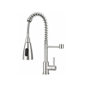 Ripple Two-Flow Kitchen Faucet in Chrome with Heavy SUS 304 Stainless Steel Body, Pull-Out Sprayer and Hot Cold Water