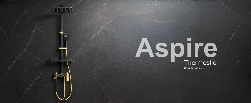 Fossa Aspire Shower Black Gold Wall Mounted 4-Function Brass  Diverter
