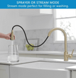 Fossa Kitchen Sink Mixer Tap with Pull Down Sprayer, Single Handle High Pull Out Kitchen Taps, Single Level Stainless Steel (Gold) - Fossa Home 