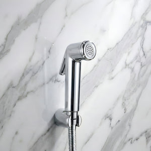 Mini Conti Silver ABS Health Faucet with 1 Meter 304-Grade SS Hose Pipe & Hook - Fossa Home 