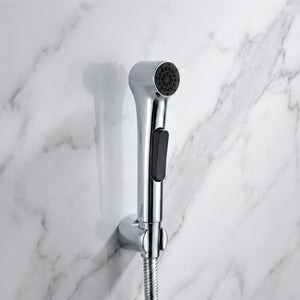 Aqua Silver ABS Health Faucet with 1 Meter 304-Grade SS Hose Pipe & Hook - Fossa Home 